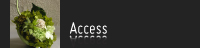 Access ANZXE⍇